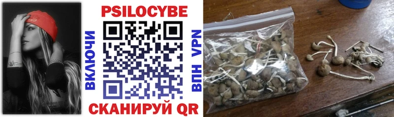 Псилоцибиновые грибы мицелий  Выборг 