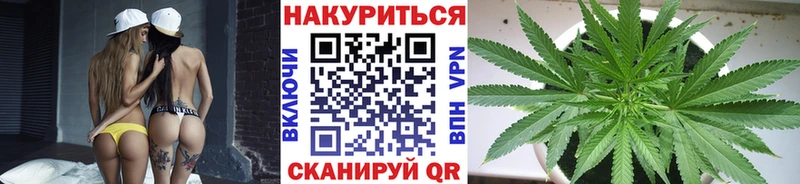 что такое   Выборг  Марихуана SATIVA & INDICA 